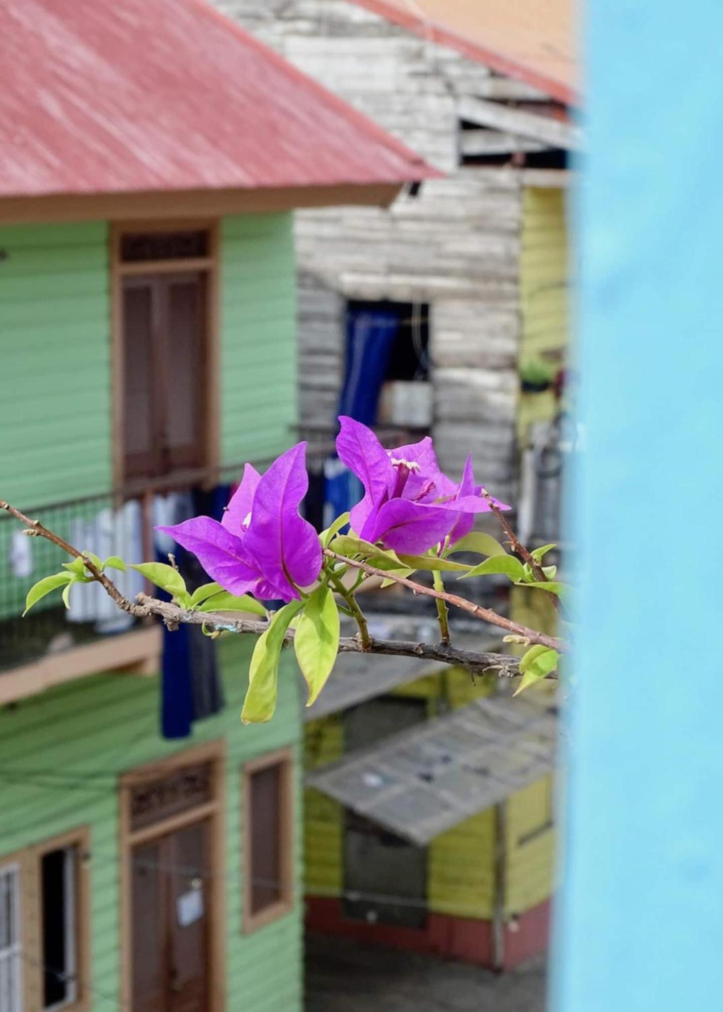 Bocas Style Apartment - Casco Viejo Panama Dış mekan fotoğraf